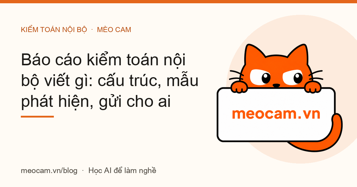 Báo cáo kiểm toán nội bộ viết gì: cấu trúc, mẫu phát hiện, gửi cho ai