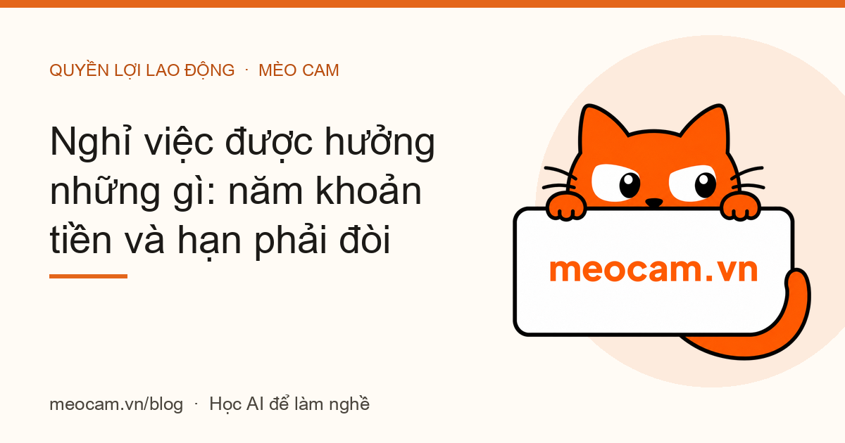 Nghỉ việc được hưởng những gì: năm khoản tiền và hạn phải đòi