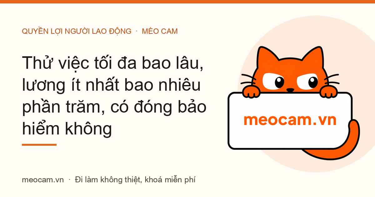 Thử việc tối đa bao lâu, lương ít nhất bao nhiêu phần trăm, có đóng bảo hiểm không